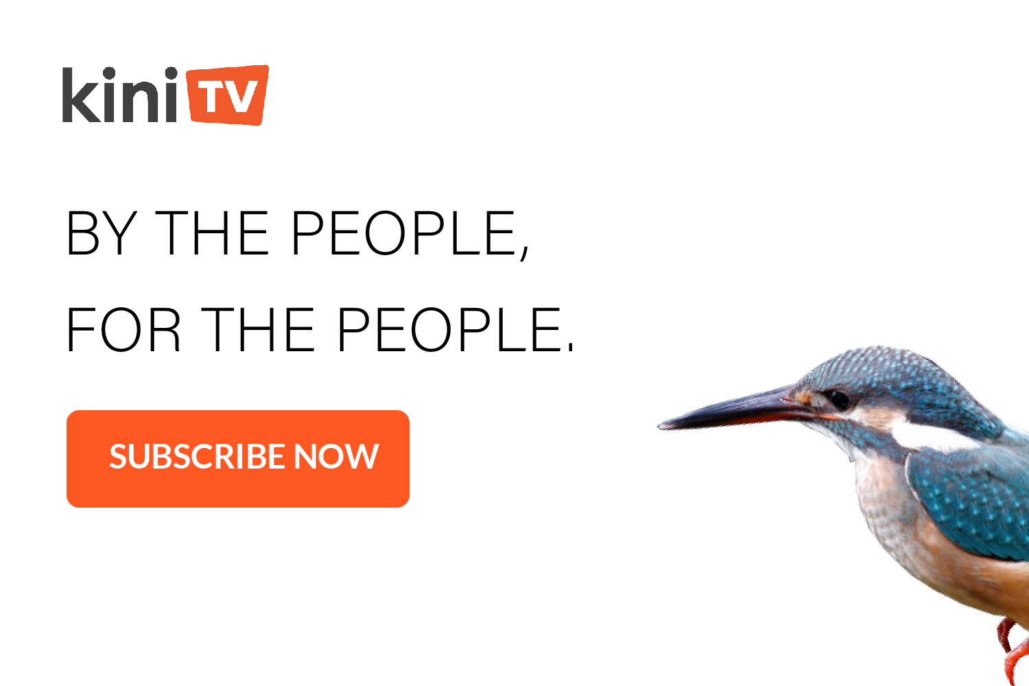kingfisher-10
