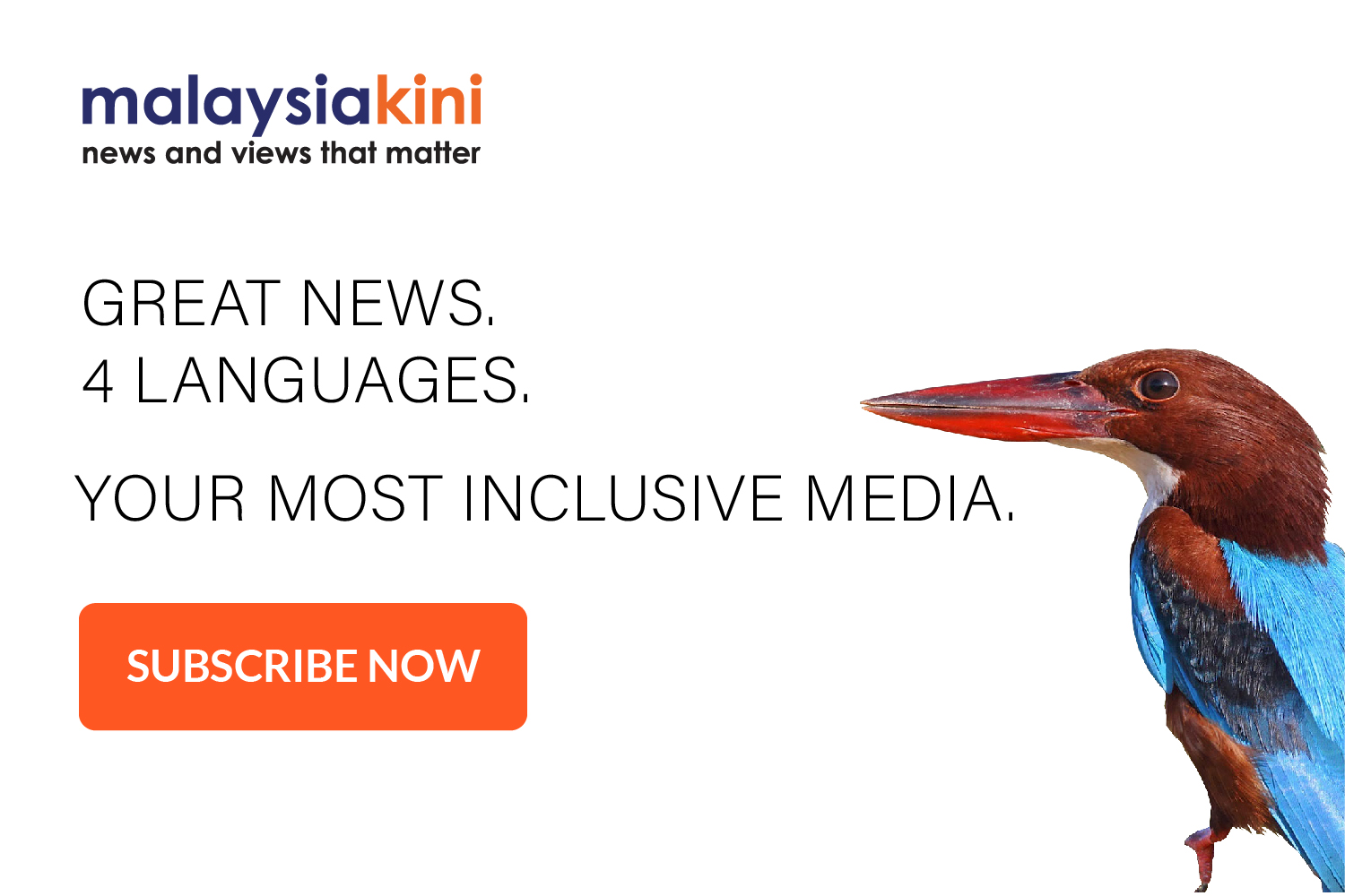 kingfisher-3