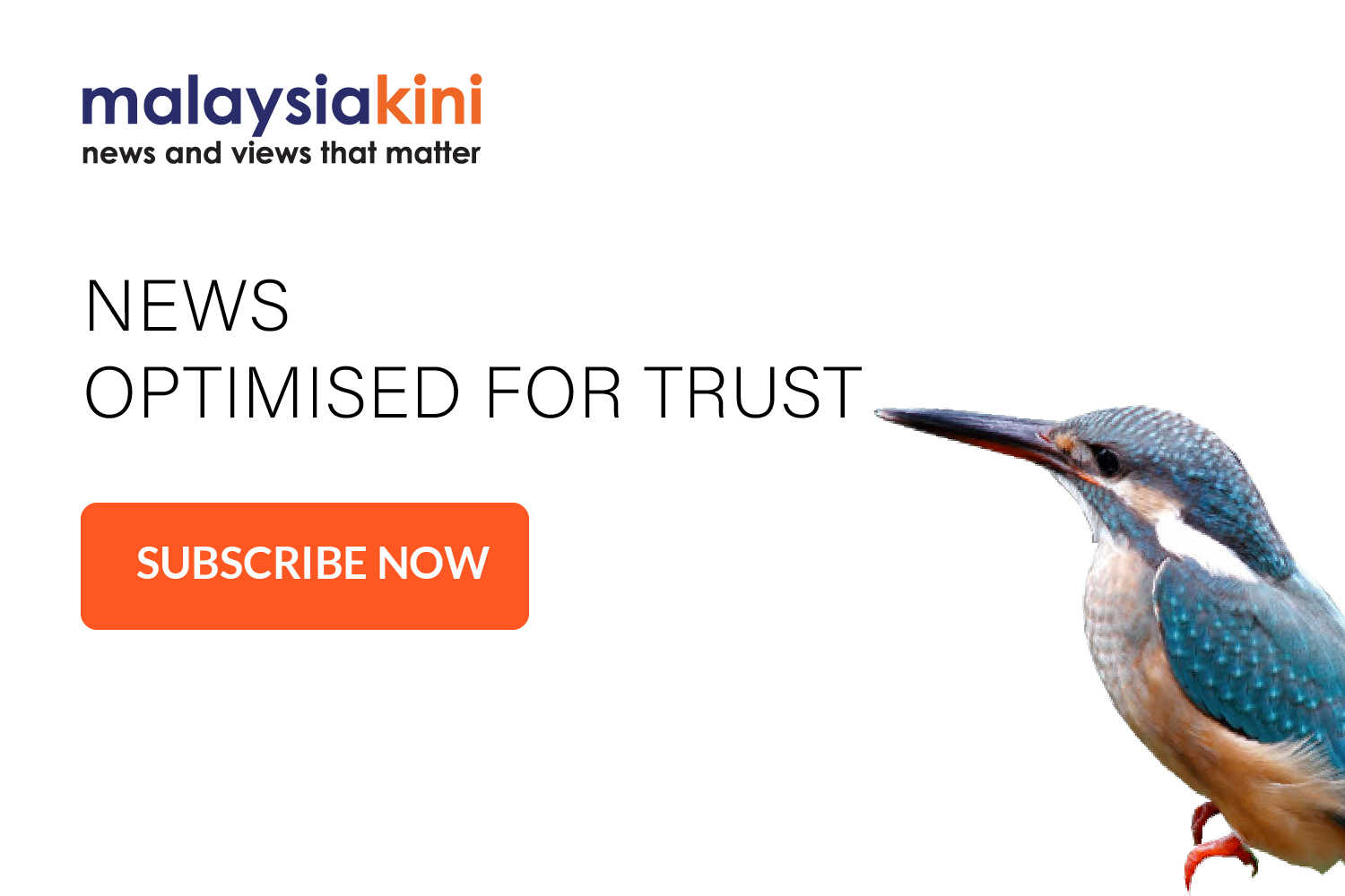 kingfisher-4