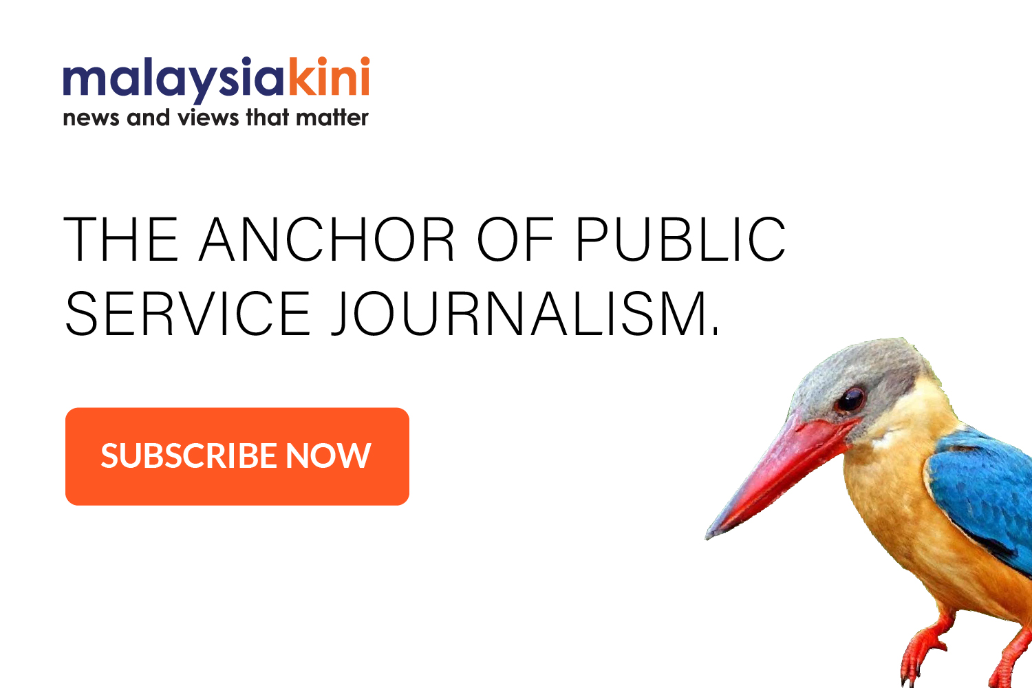 kingfisher-5