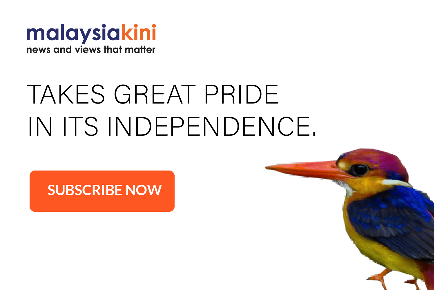 kingfisher-7